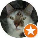 Robert McCluskey profile picture